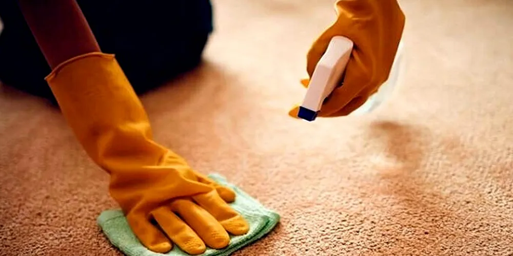 پاک کردن انواع لکه ها از روی فرش